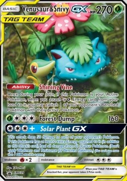 Venusaur & Snivy GX [SM Black Star Promos] (SM-229)