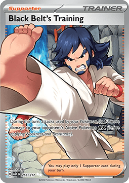 Black Belt's Training [Ascended Heroes] (ASC-255)